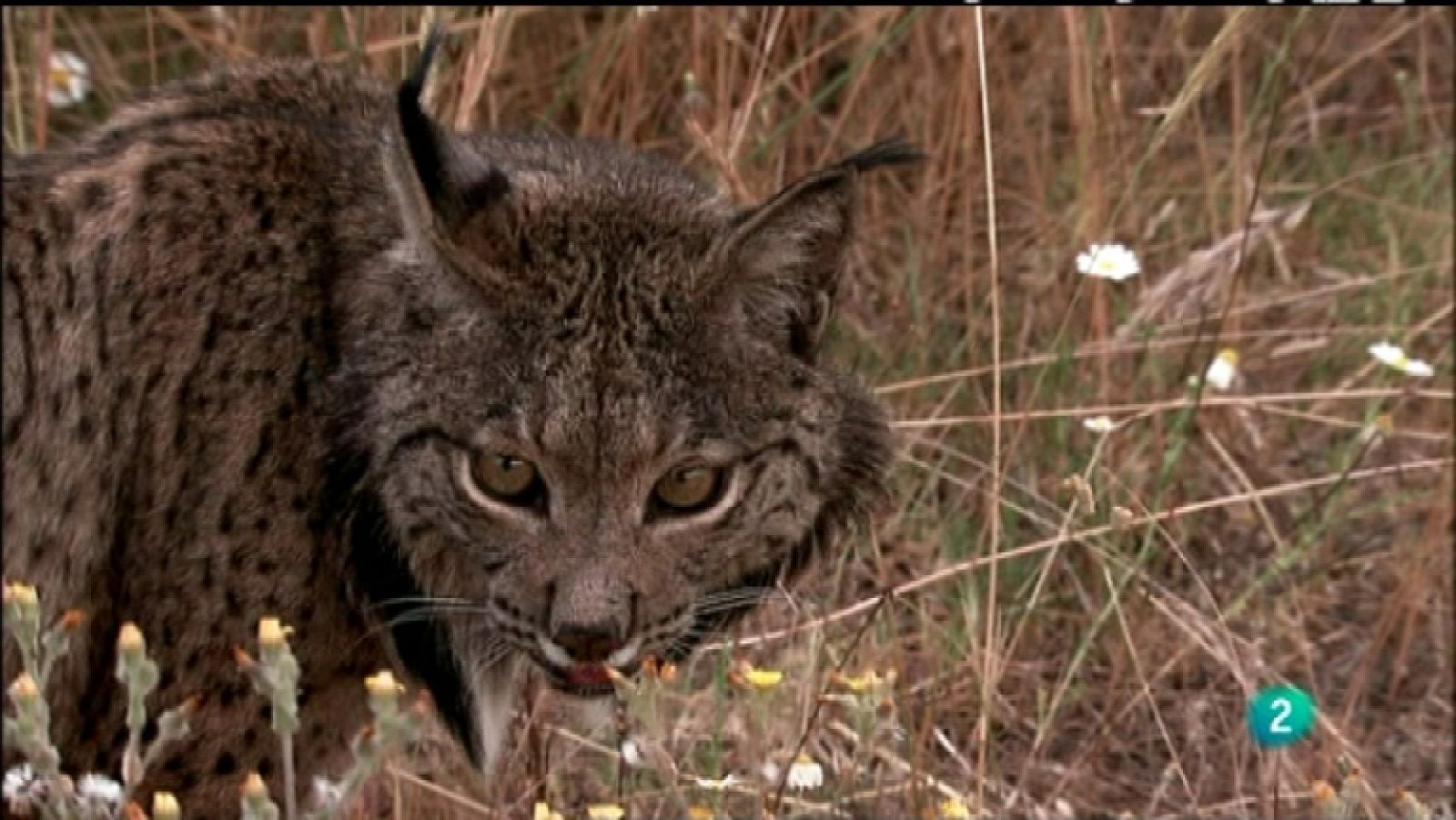 Biodiario - 20/03/12 - Ver ahora