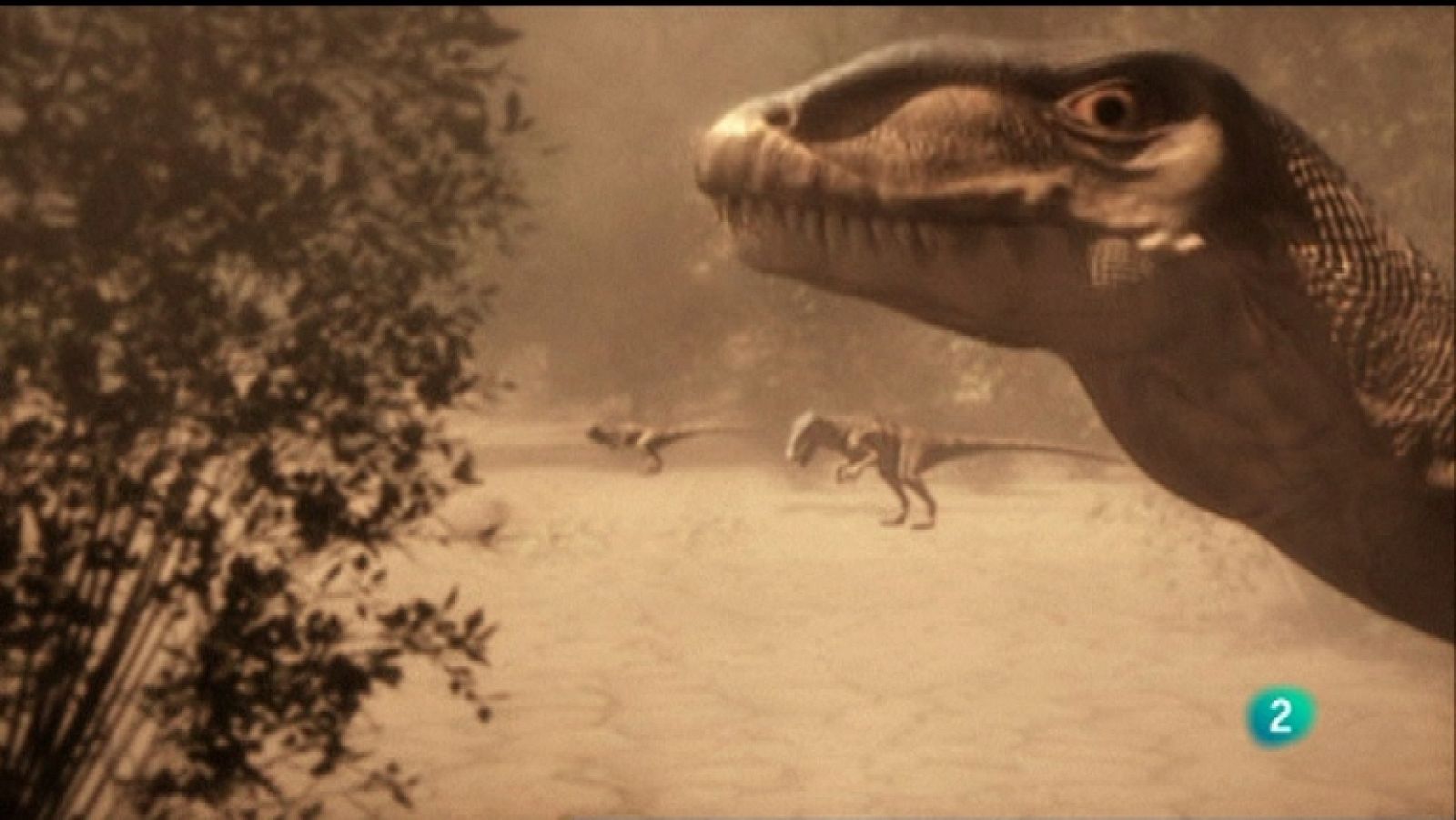 Docufilia - Armageddon Animal - Asfixiada (comienzo)