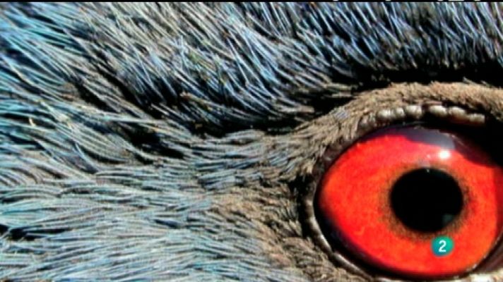 Biodiario - Biodiario - 21/03/12