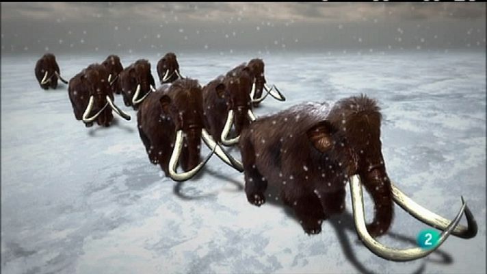 Documenta2 - Fuego y hielo (comienzo)