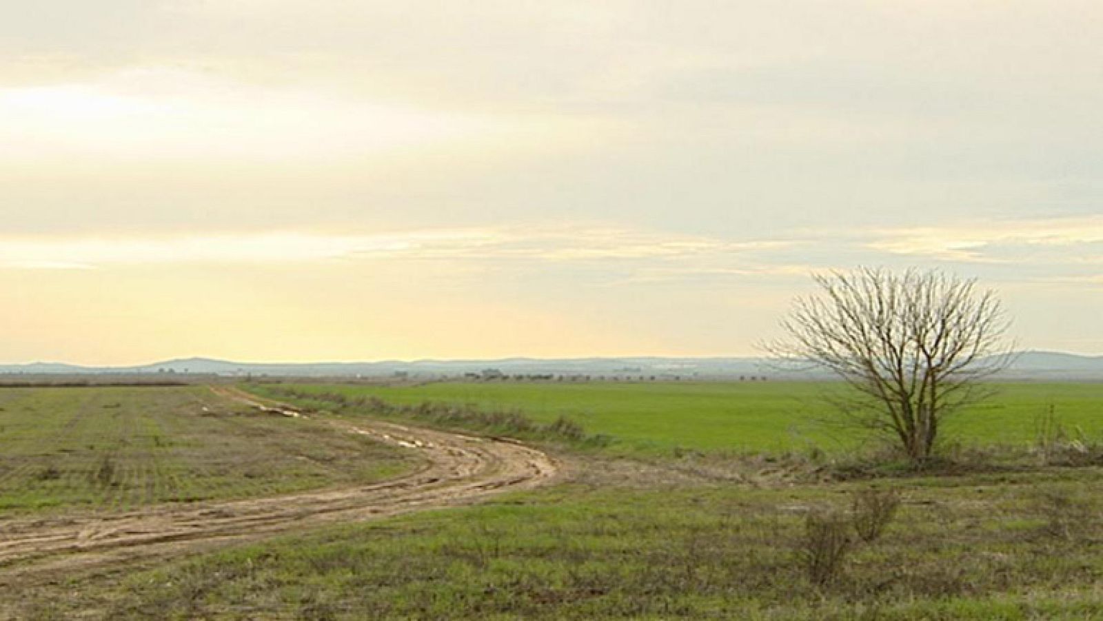 Ascenso moderado de temperaturas y levante muy fuerte en el Estrecho