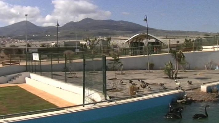 Noticias de Melilla - Noticias de Melilla - 23/03/12