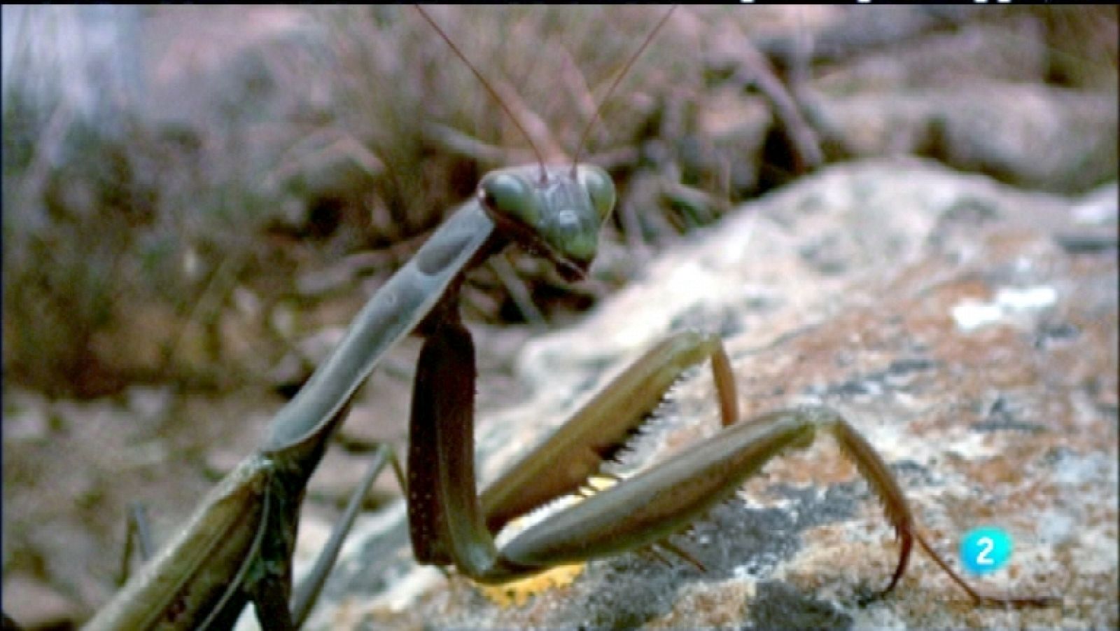 Biodiario - 23/03/12 - Ver ahora