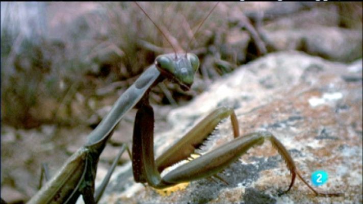 Biodiario - Biodiario - 23/03/12