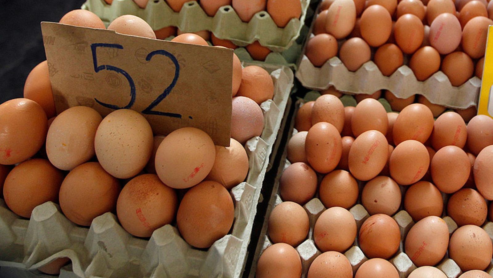 La normativa europea del bienestar animal hace que aumente el precio de los huevos