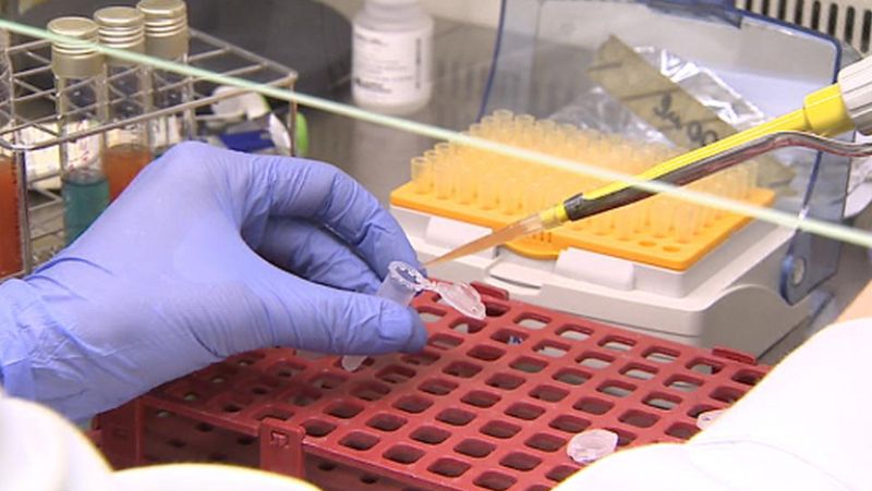 El SEPRONA desarticula una red dedicada al comercio ilegal de angulas