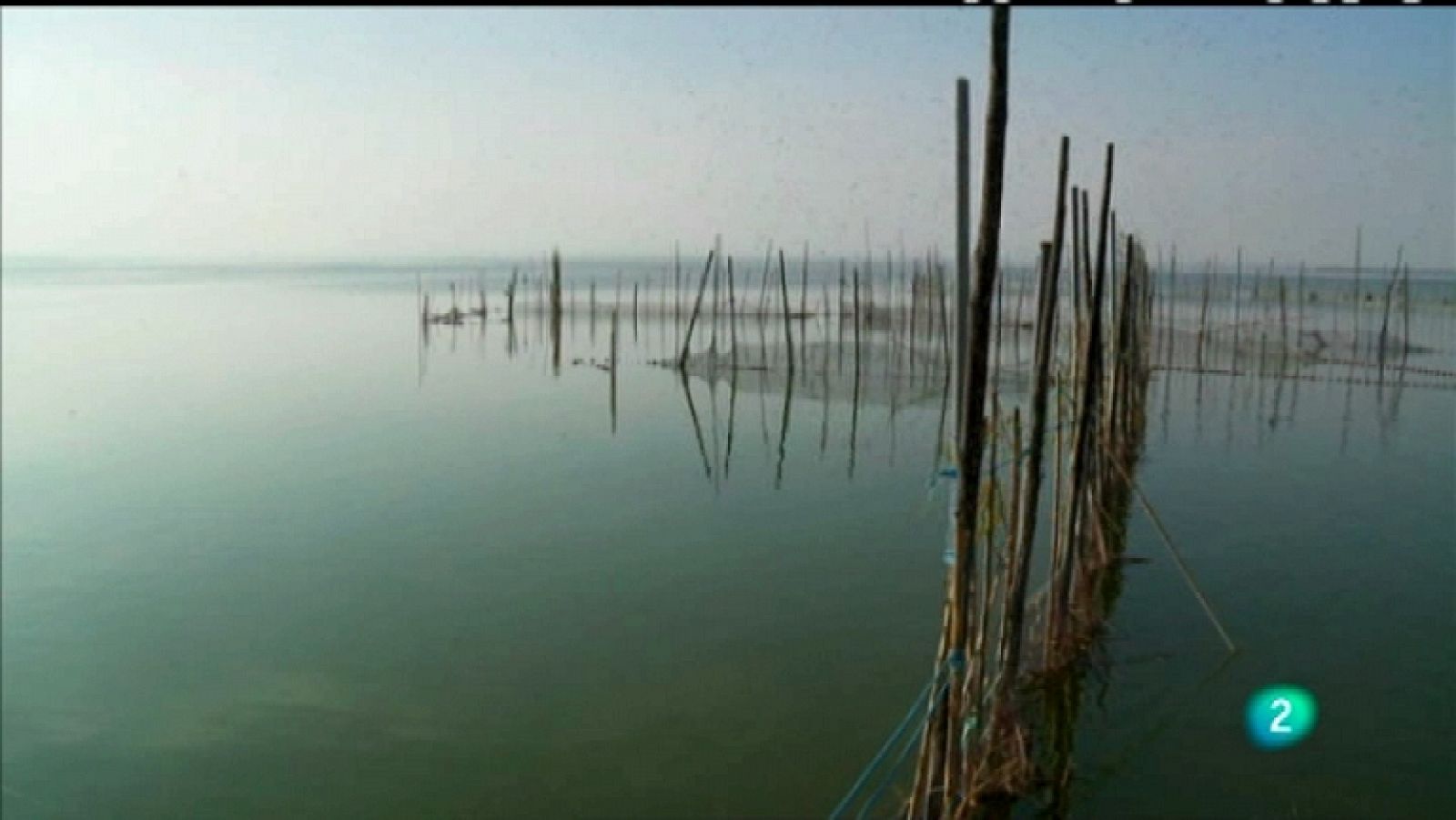 Biodiario - 25/03/12 - Ver ahora