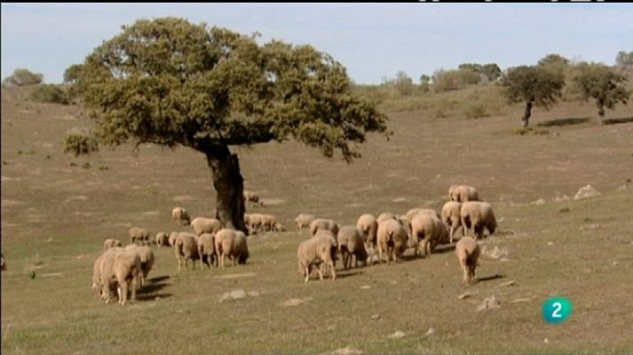 Biodiario - Biodiario