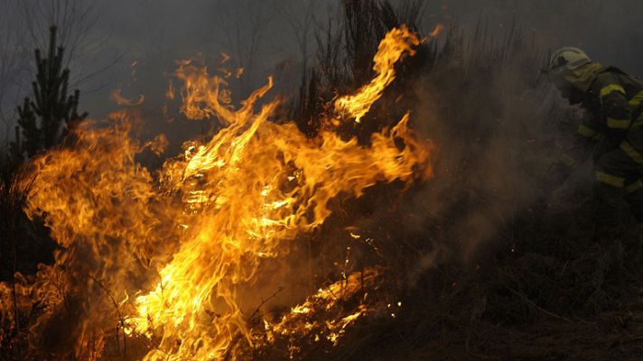 Telediario 1 - Decenas de incendios activos