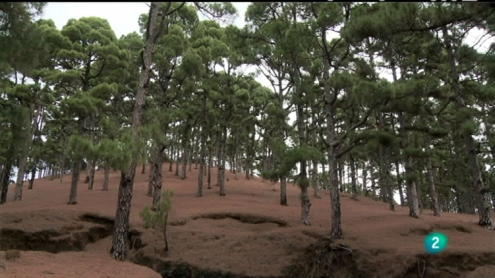 Biodiario - 28/03/12 - Ver ahora