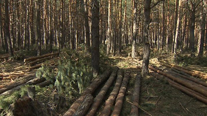 Telediario 1 - Vivir en el monte