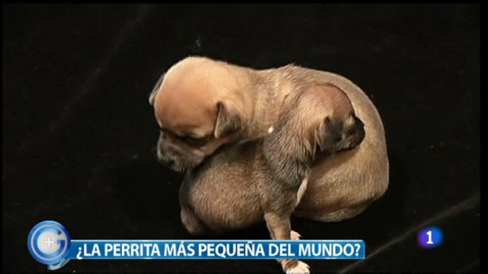 Más Gente - 30/03/12 - Ver ahora