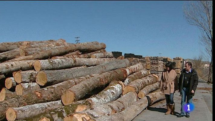 Telediario 1 - Barricas de roble español
