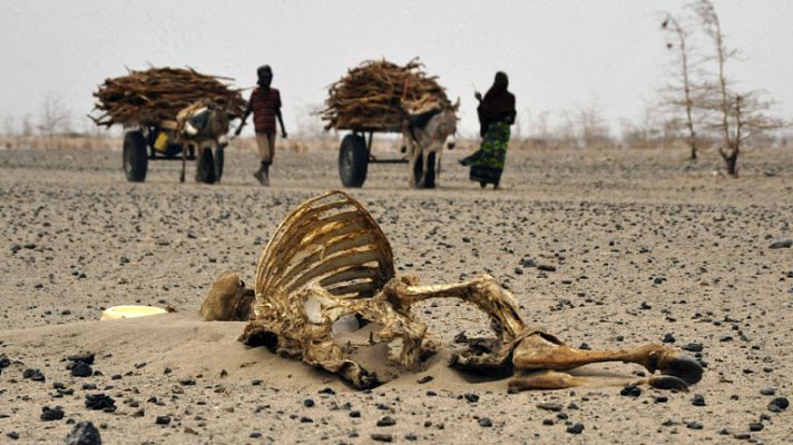 Telediario 1 - Amenaza el cambio climático