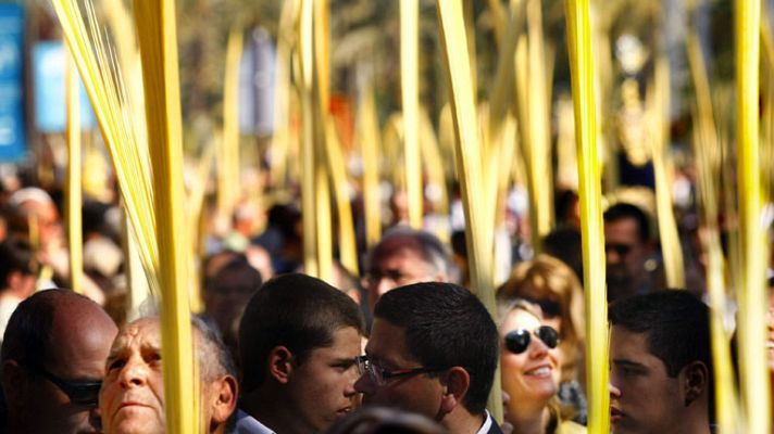Telediario 1 - Las Palmas de Elche