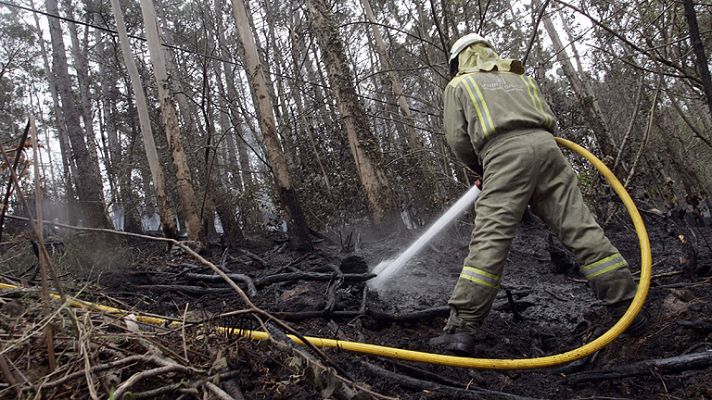 Telediario 1 - Fuego de Fragas do Eume, controlado