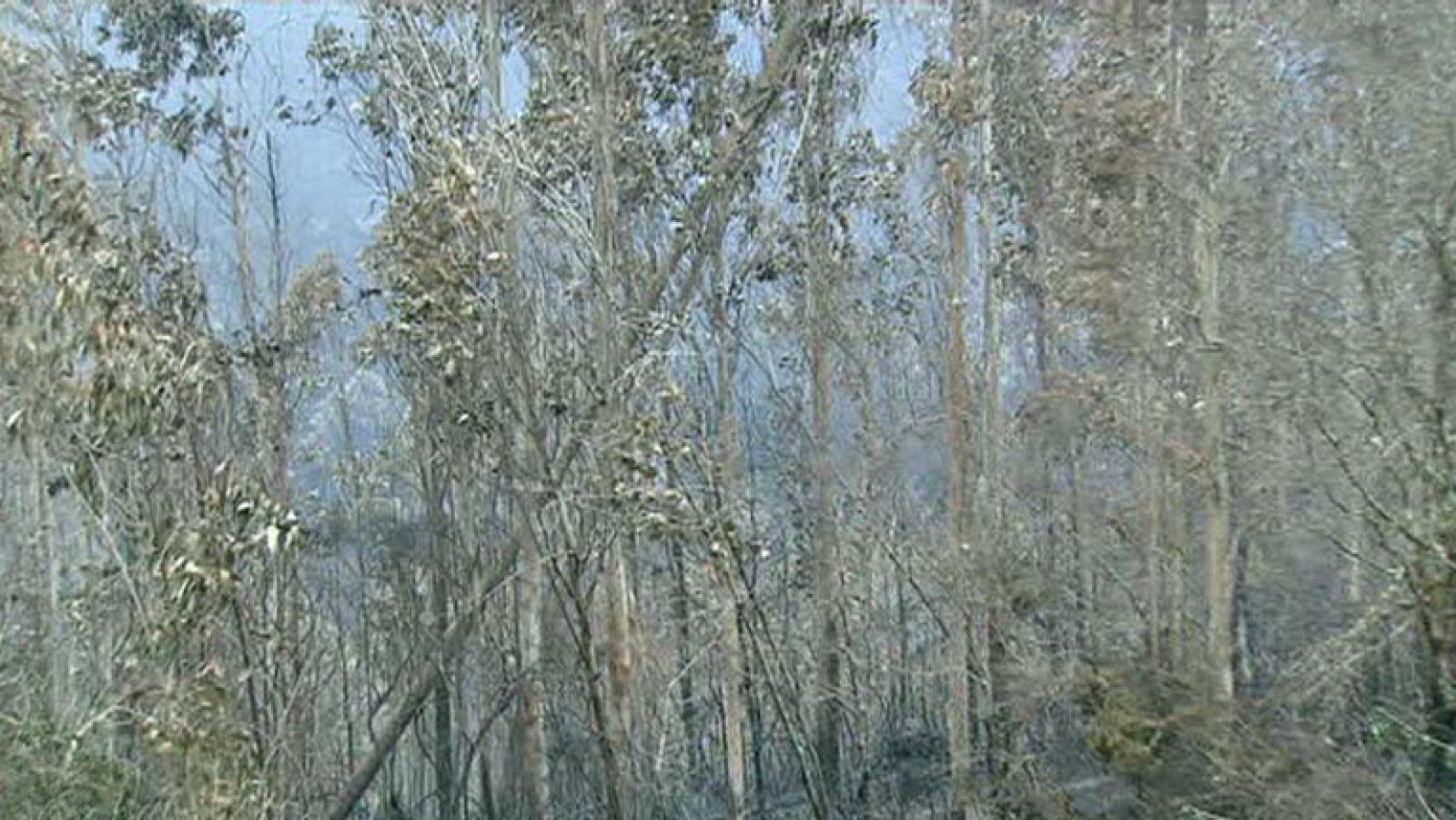 Tercer día de incendios en Galicia y continúan con las tareas de extinción