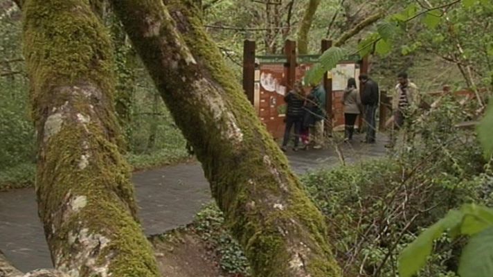 Telediario 1 - El control del fuego en Fragas