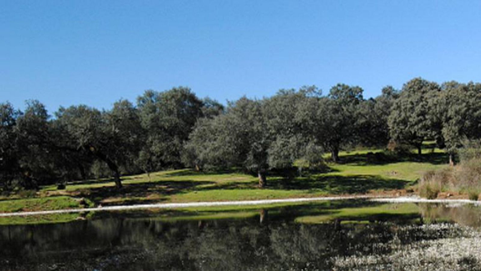 Cielos nubosos en el tercio norte y despejados en el resto de la península