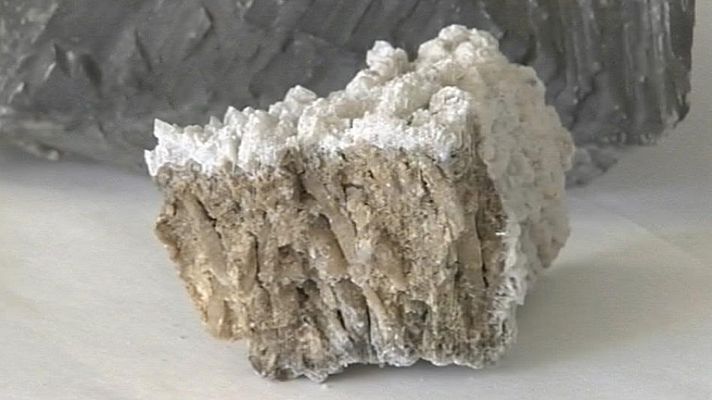 Telediario 1 - El proceso de la bassanita