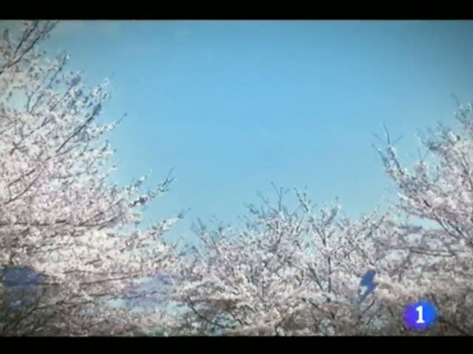 El tiempo en la Región de Murcia.(11/04/2012).