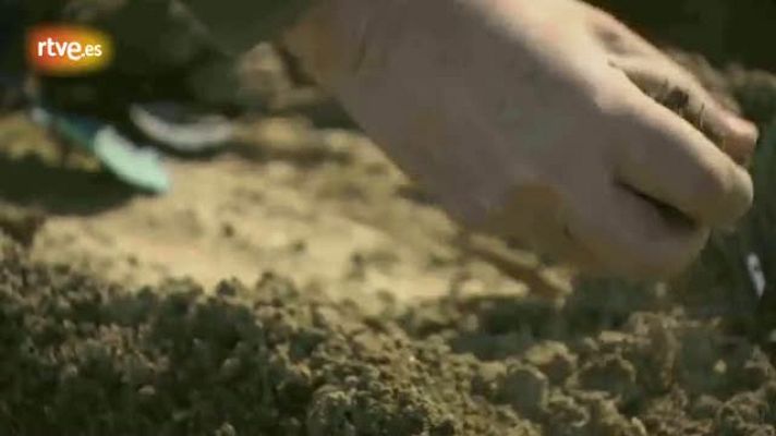 Los oficios de la cultura - Los oficios de la cultura - Avance:  Enric Mestre, ceramista