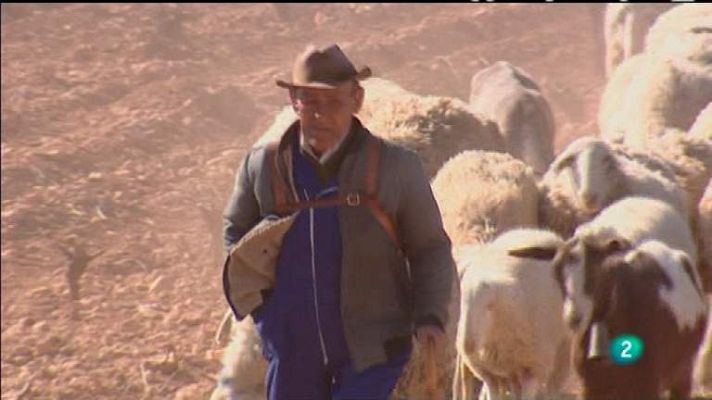 Biodiario - Biodiario - 12/04/12