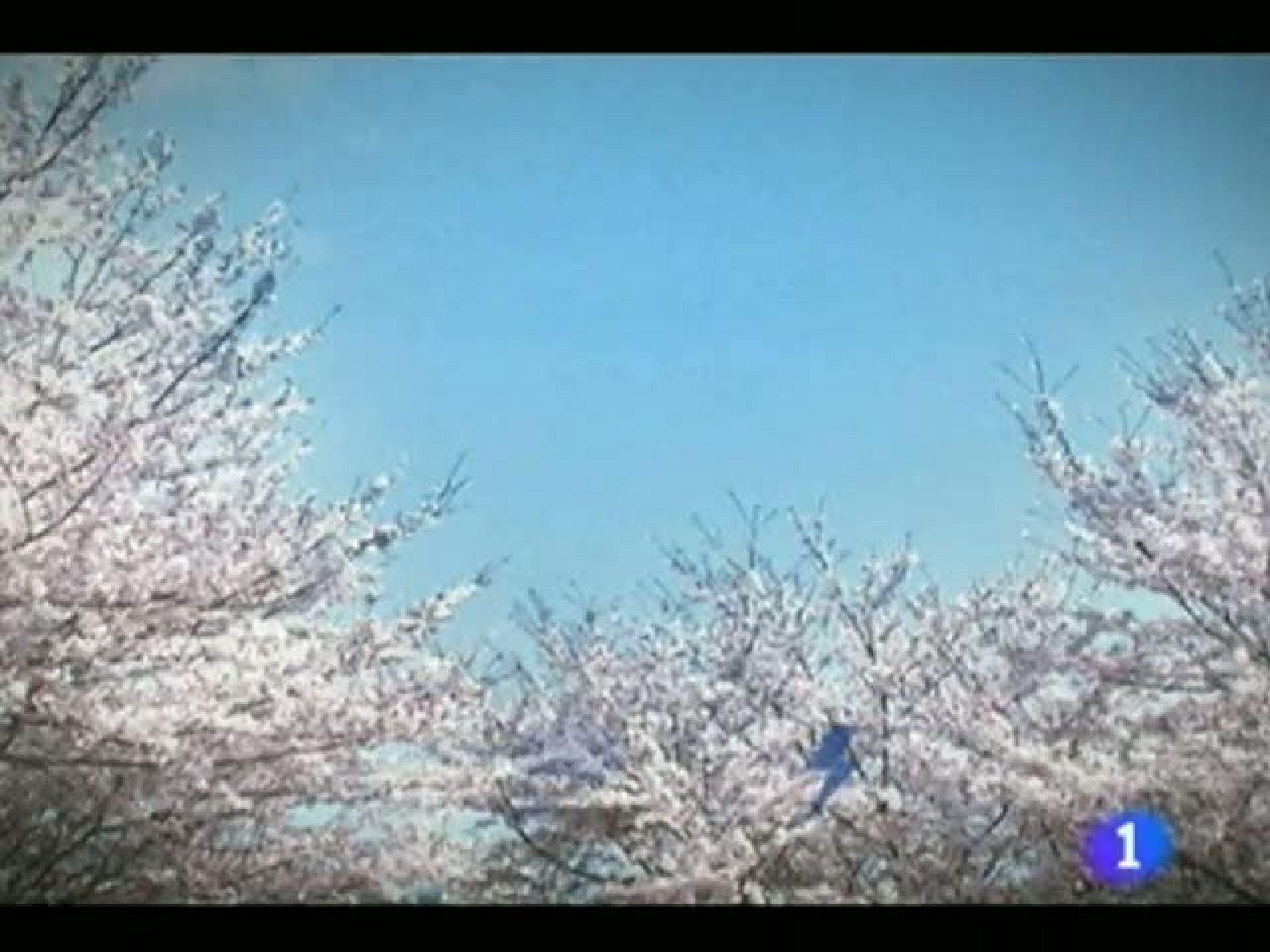 El tiempo en la Región de Murcia.(13/04/2012).