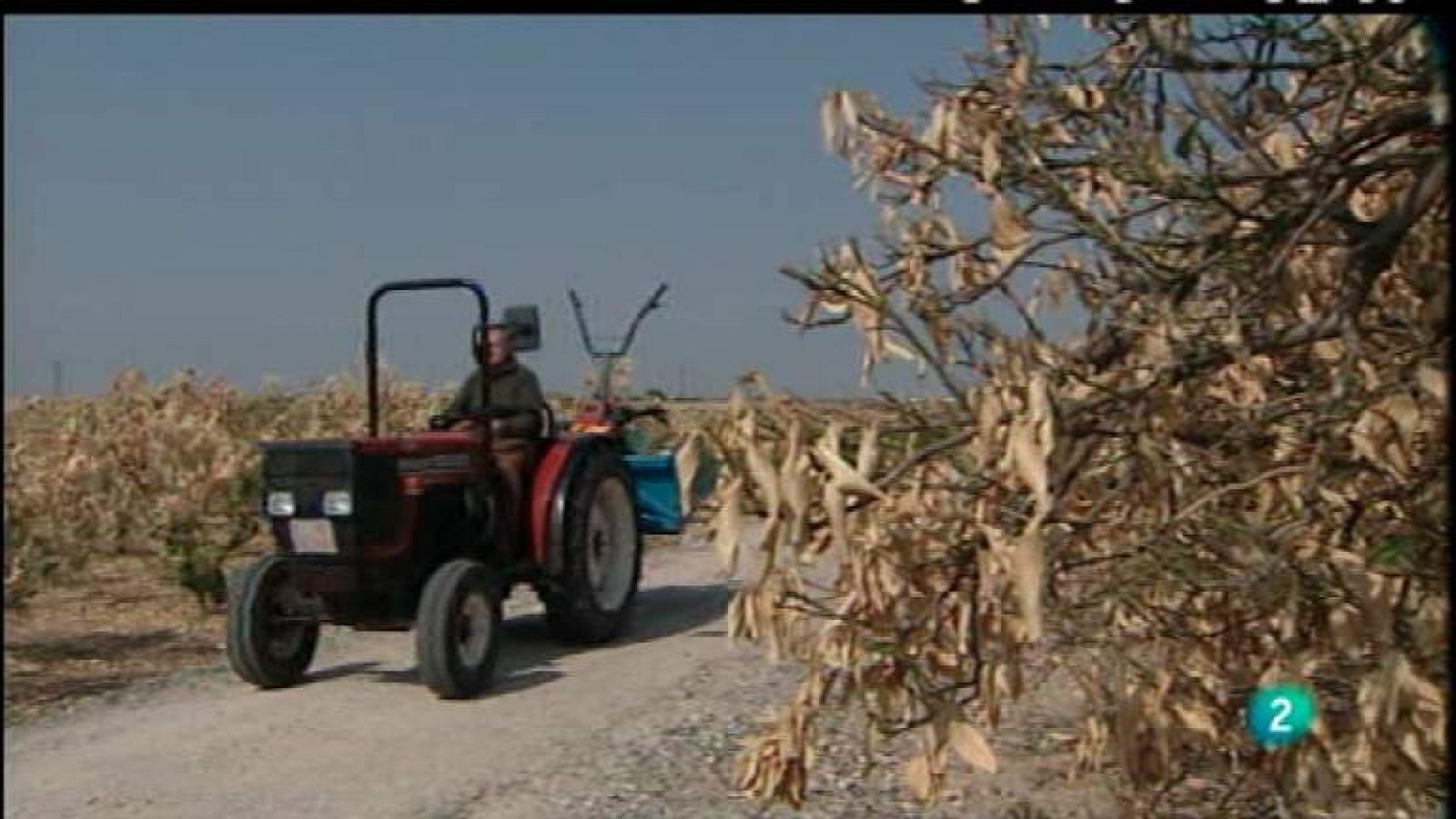 Agrosfera - 14/04/12 - Ver ahora