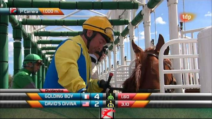 Turf - Turf - 13/04/12