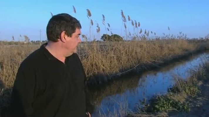 El escarabajo verde - Acuíferos