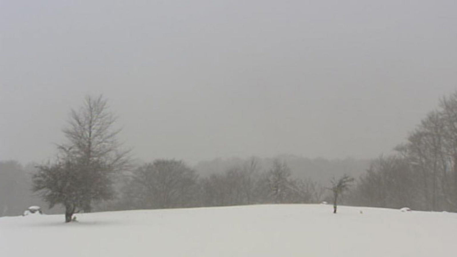 Temperaturas en ascenso y viento fuerte en el norte