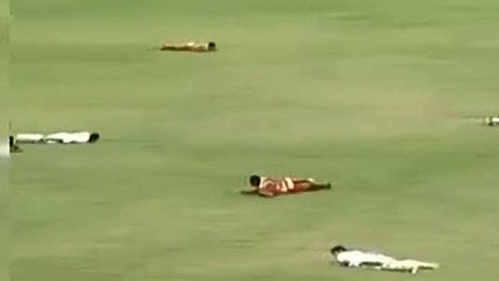 Un enjambre de abejas boicotea un partido en Brasil - Conexión tdp | Ver