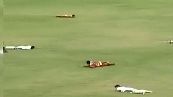 Conexión tdp - Unas abejas boicotean un partido