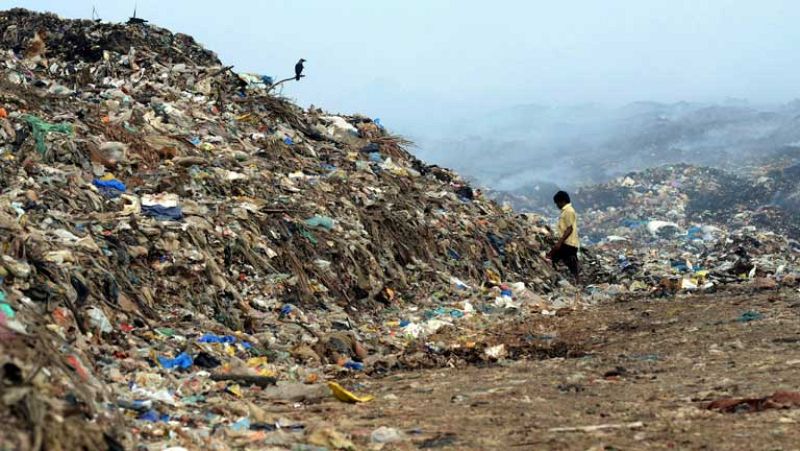 Millones de personas en 192 países celebran "el día de la Tierra"