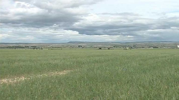 Telediario 1 - La sequía en España