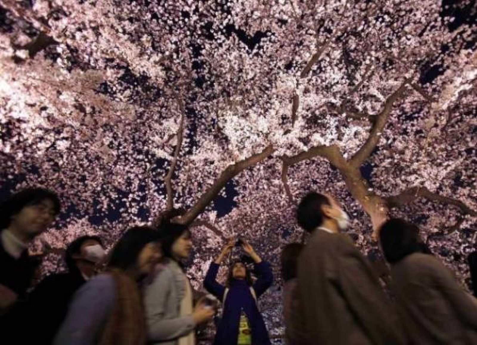 On Off: Primavera en el sol naciente - On Off | Ver