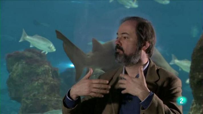 Página Dos - Juan Villoro