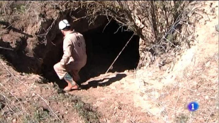 Repor - Hasta debajo de las piedras