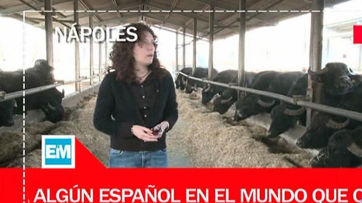 Españoles en el mundo - Nápoles - Tomas falsas