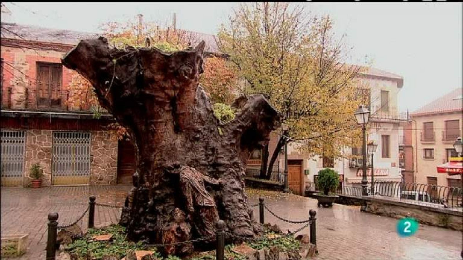 Biodiario - 25/04/12 - ver ahora