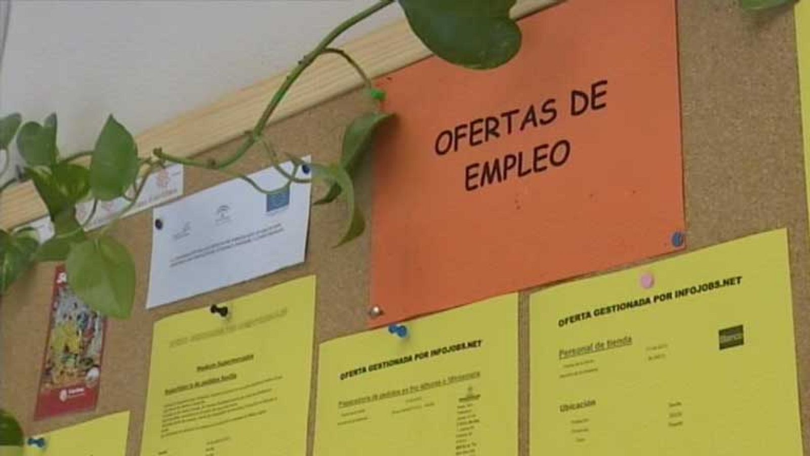 Los programas de reinserción laboral de Cáritas son cada vez más solicitados