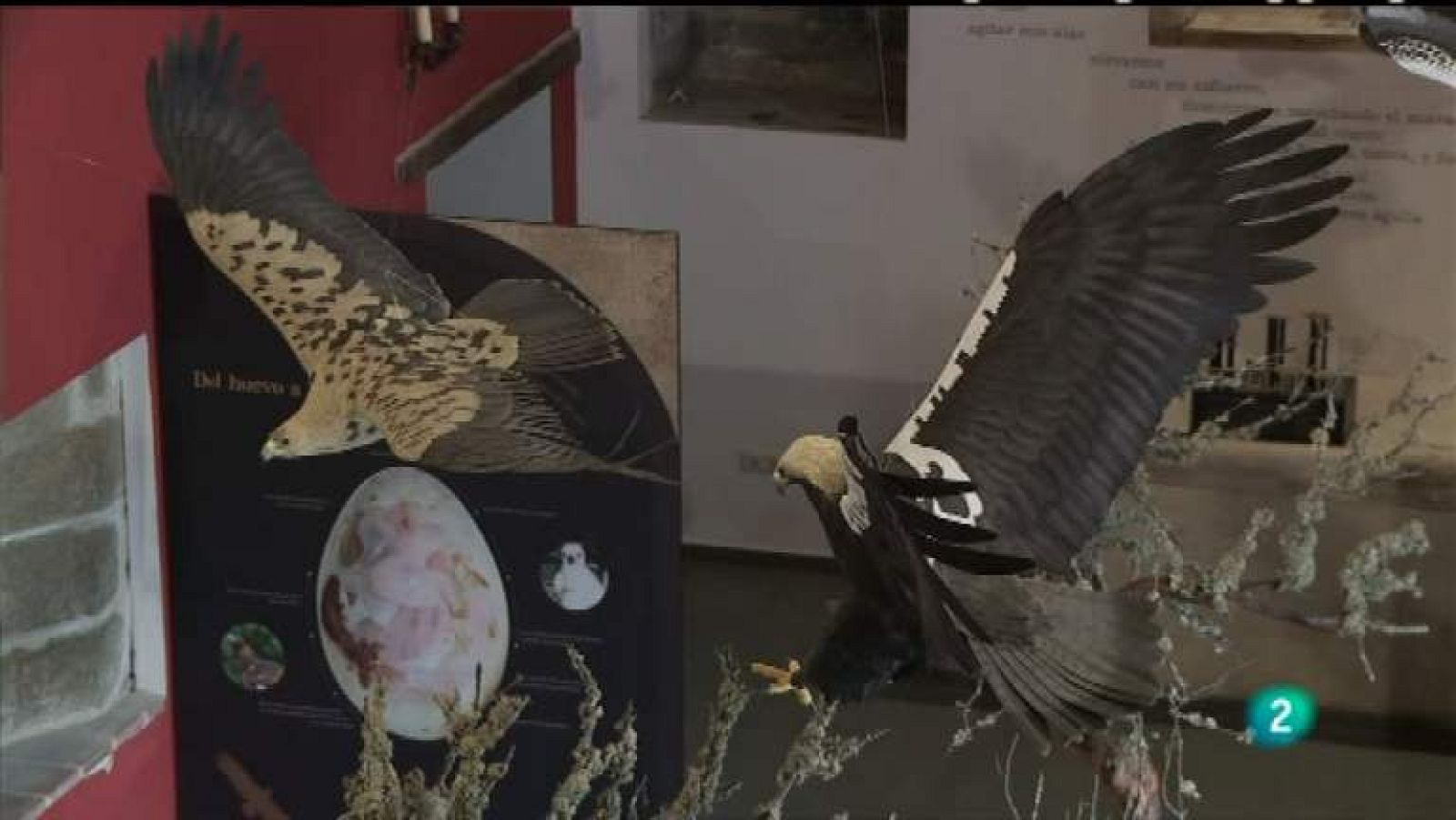 Biodiario - 27/04/12 - ver ahora