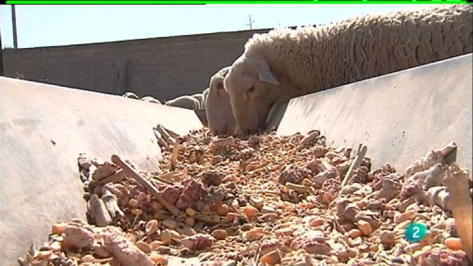 Agrosfera - 28/04/12 - ver ahora