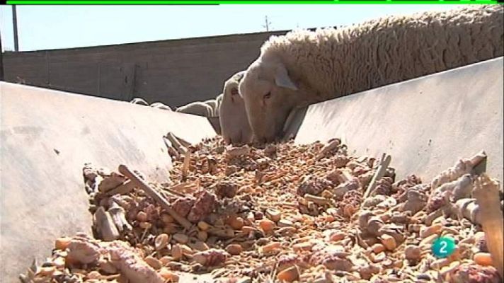 Agrosfera - Agrosfera - 28/04/12