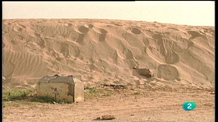 El bosque protector - Guardamar del Segura