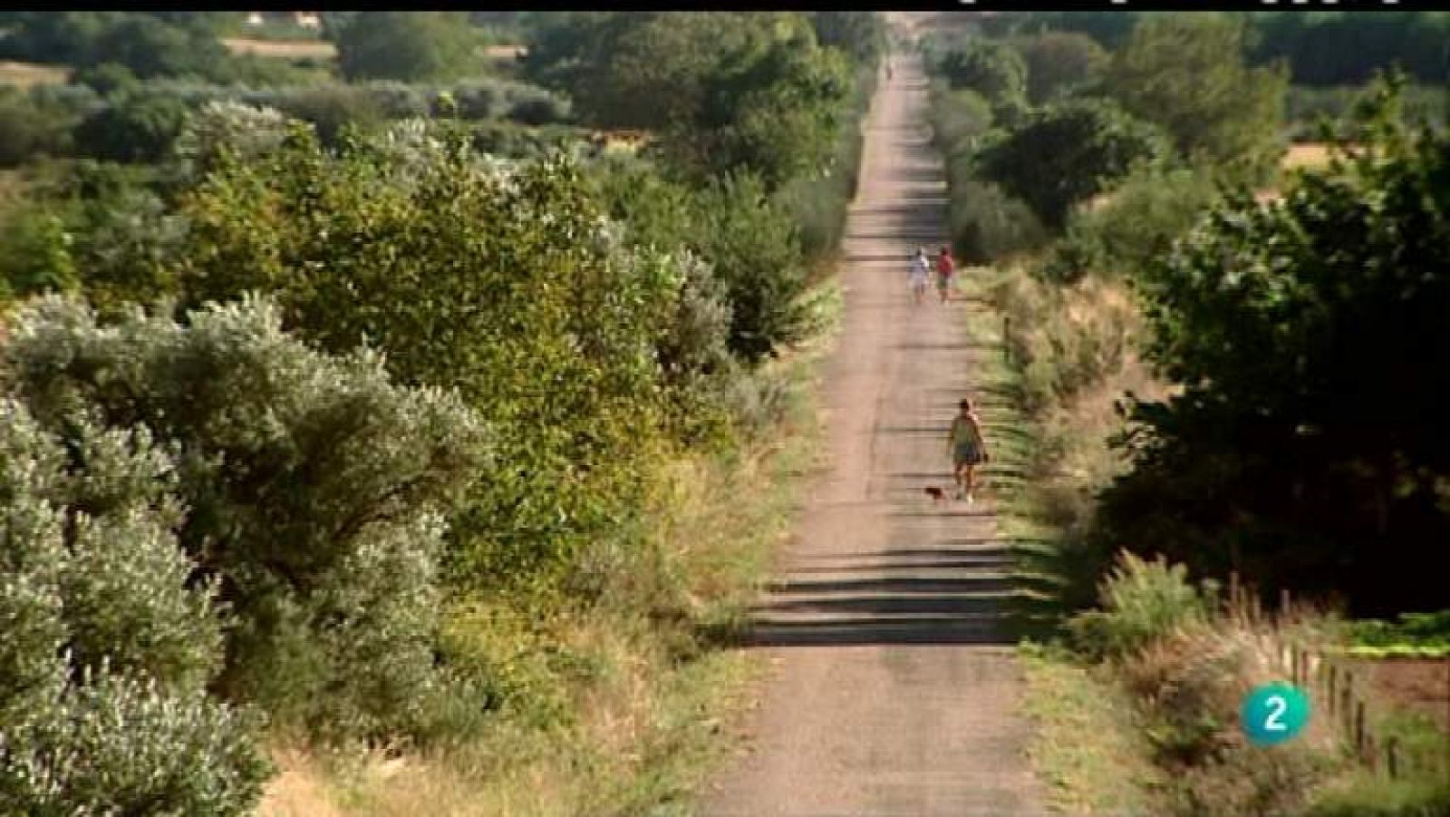 Biodiario - 29/04/12 - Ver ahora