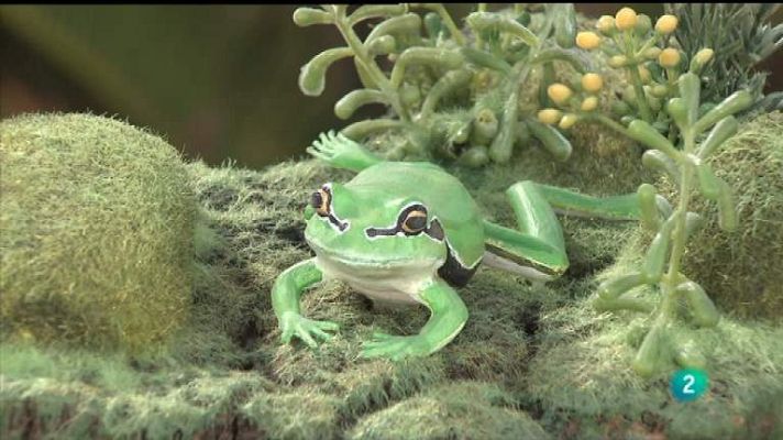 La aventura del Saber - La aventura del saber - 30/04/12