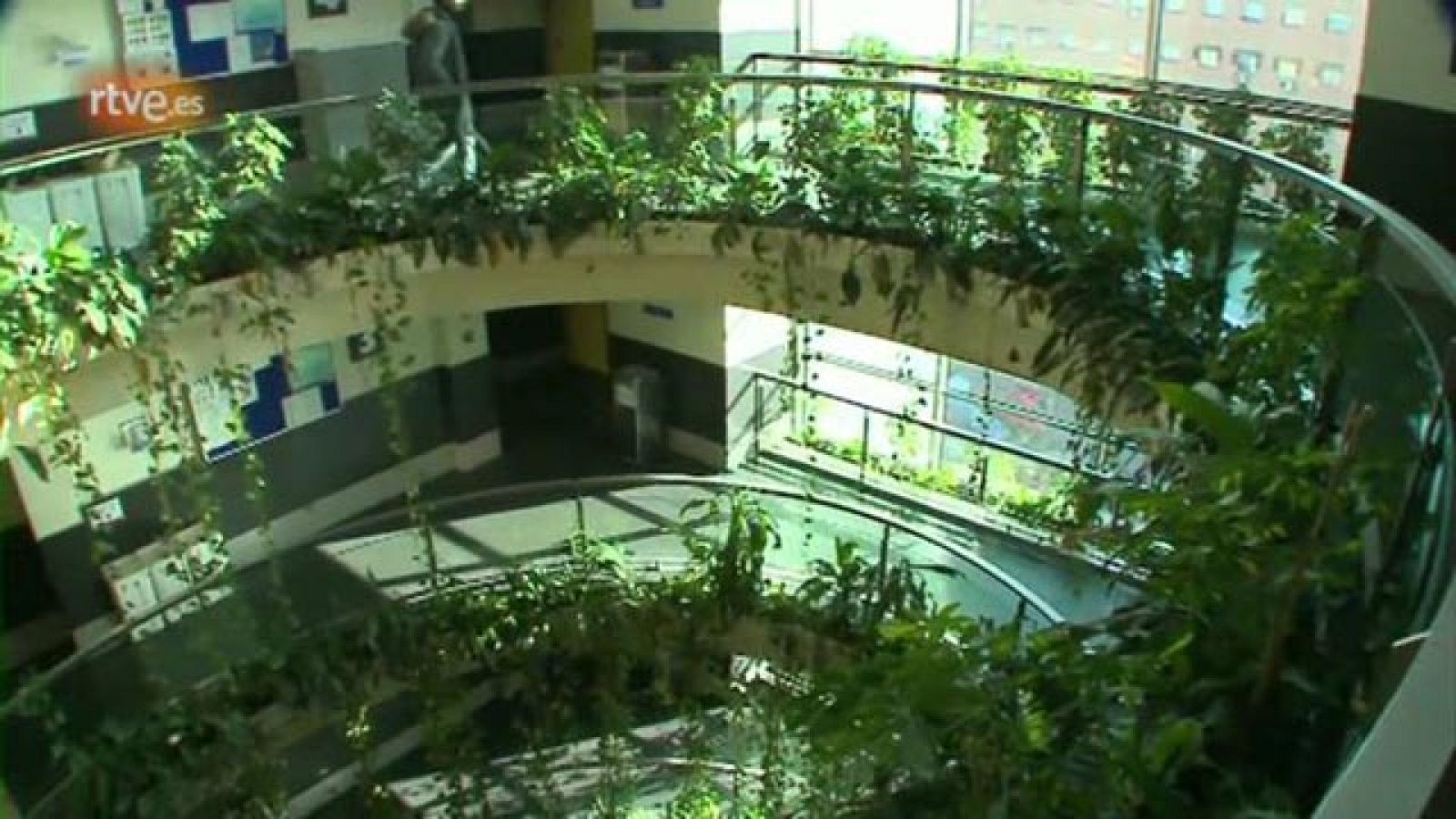 El escarabajo verde - Empleo Verde - avance