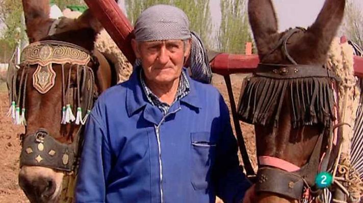 Biodiario - Biodiario - 02/05/12